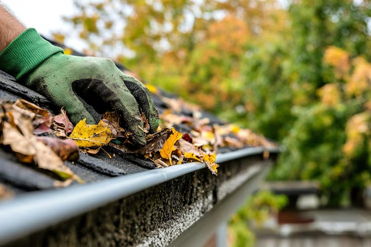 imgi_39_gloved-hand-cleans-fallen-leaves-from-gutter-house-roof_1256795-1878