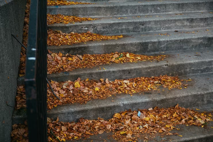imgi_3_beautiful-shot-colorful-autumn-leaves-fallen-stairs_181624-7424